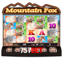 757bet,757bet.com